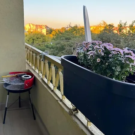 Old Town Bamboo Tree 2 Bedroom * Vidin